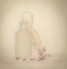 2nd – Still Life – Faded Patricia Martin