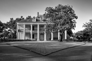 1st Advanced Mono Print Plantation Centra – Simon Wood