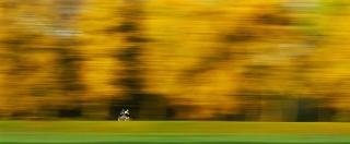 C Phill Jolly - Advanced PDI - Blur-Biking