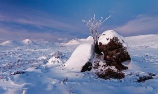 HC Alan Thomson - Advanced PDI - Blackmount in Winter