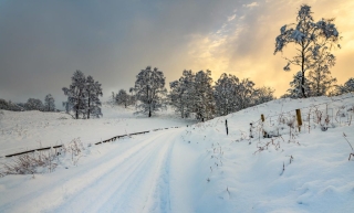 HC Brian Graham - Advanced PDI - Winter’s Way