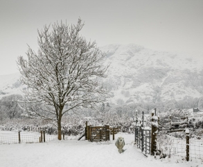 HC Brian Graham - Advanced Colour - Yan