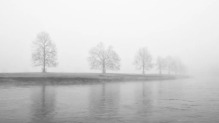 1st - Advanced Mono - Simon Wood Fading Away