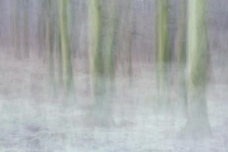 3rd joint - Advanced Colour - Simon Wood Disturbed Dream