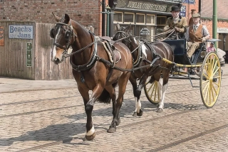 HC - Club PDI - Norman Hubner Trap and Pair