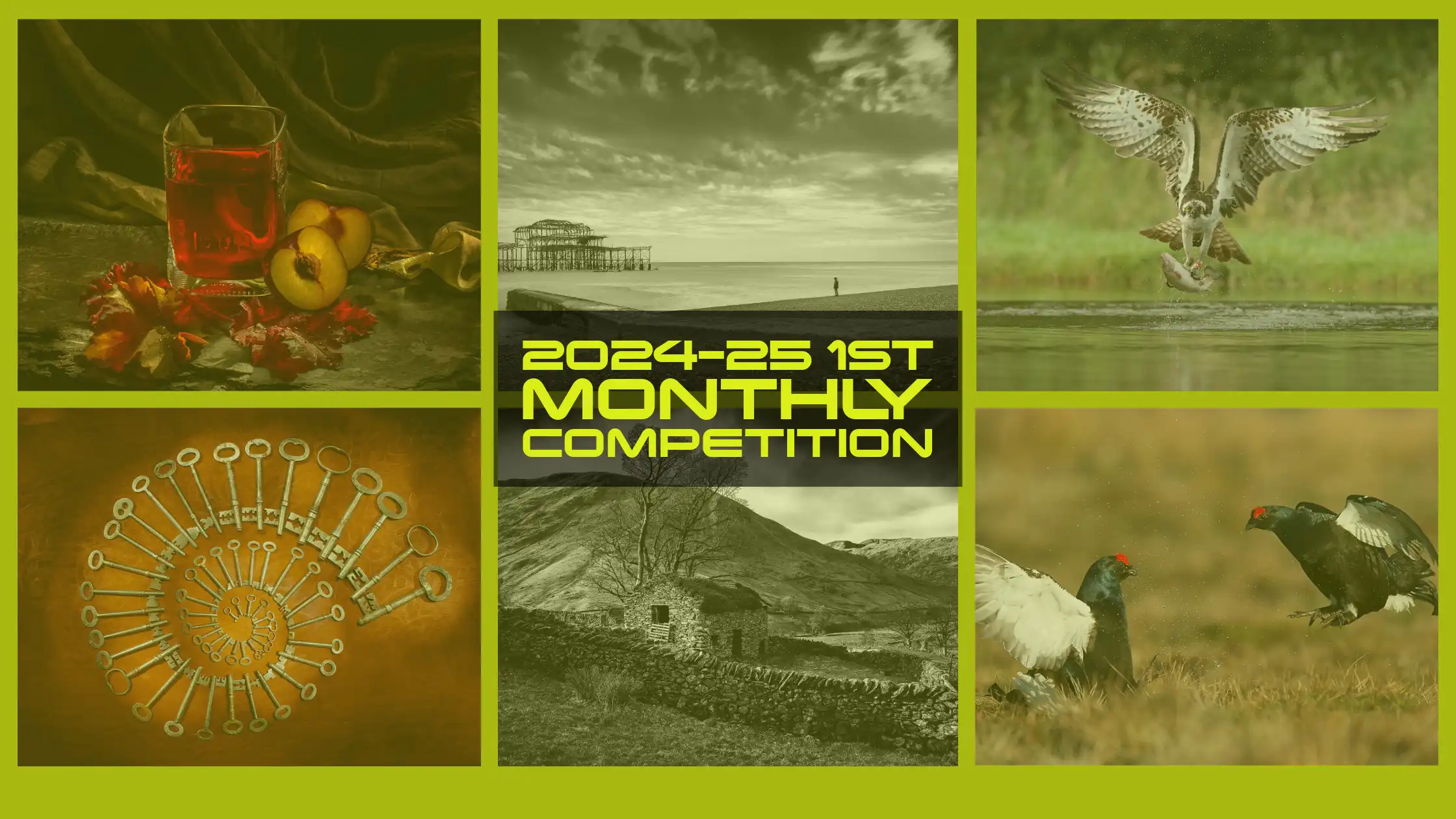 2024-25 1st Monthly Competition Entries