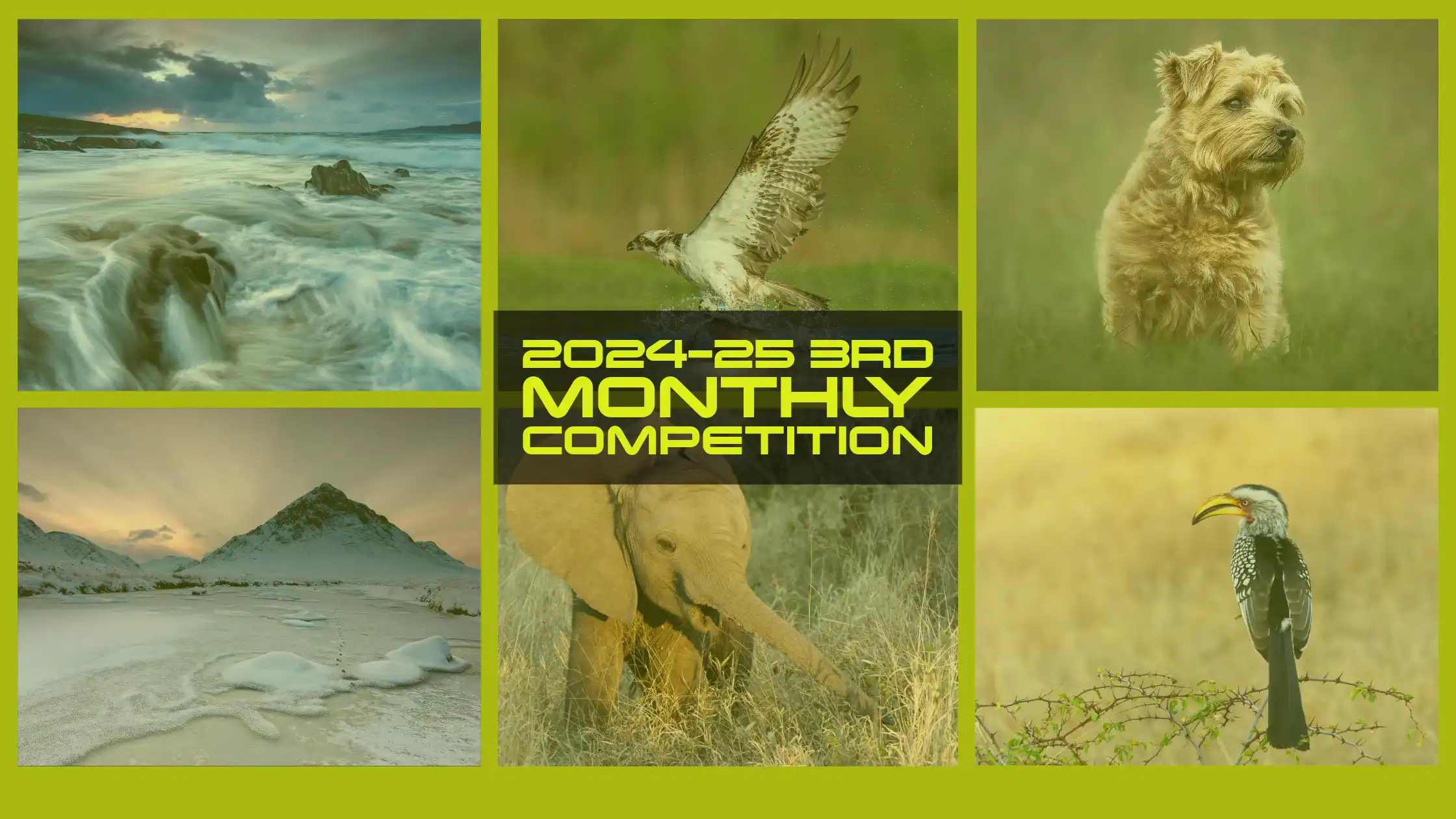 2024/5 3rd Monthly Competition Winners