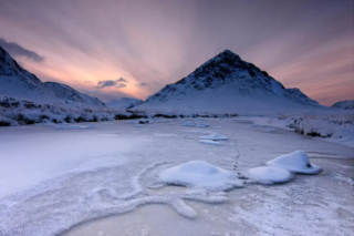 17pts – Alan Thomson – Tracks