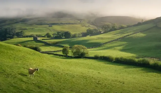 Brian_Graham-Colour_Print-18pts-Dale_Mist_Rising