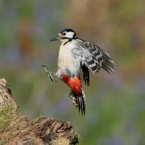 Paul_Martin-PDI-17pts-WHOA!