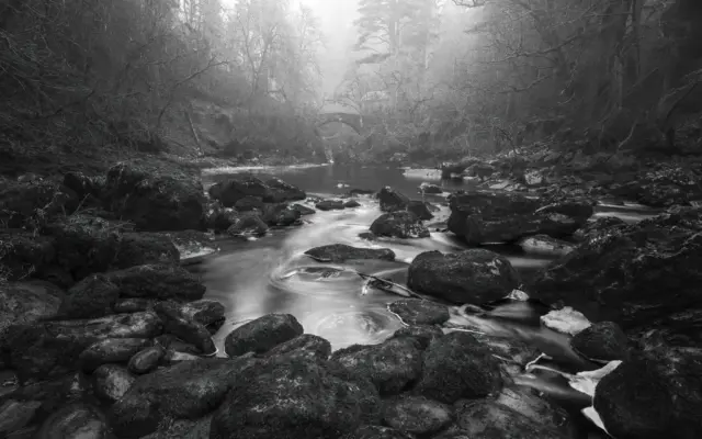 Phillip_Jolly-Mono_Print-17pts-Sticks_and_Stones