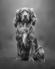 Phillip_Jolly-Mono_Print-20pts-What's_it_all_about_Alfie