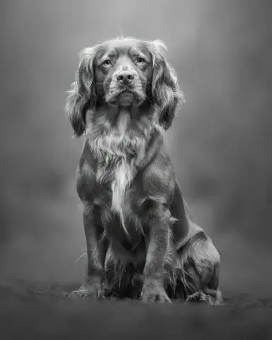 Phillip_Jolly-Mono_Print-20pts-What's_it_all_about_Alfie