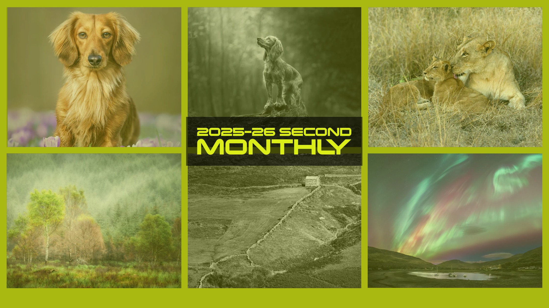 2025-26 Second Monthly Competition