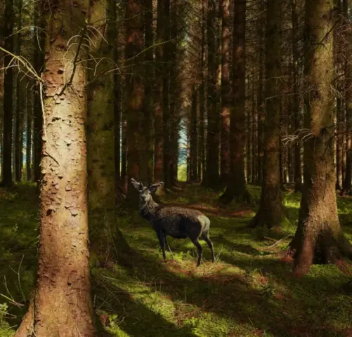 Patricia_Martin-PDI-17pts-Caught_in_the_Light