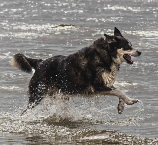 Susan_Hinton-Smith-Colour_Print-18pts-This_is_the_Life