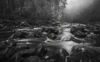 18pts-Phillip_Jolly-Mono_Print-River_Braan