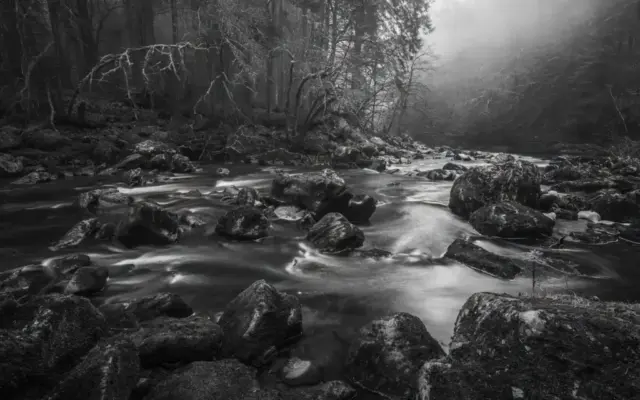 18pts-Phillip_Jolly-Mono_Print-River_Braan